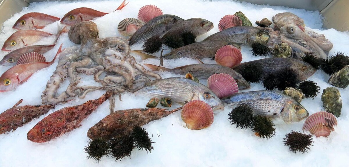 Images Peixateríes Martí