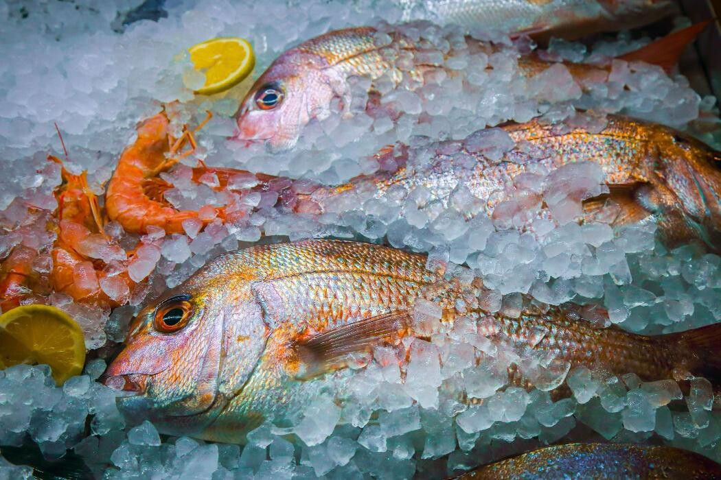 Images Peixateríes Martí