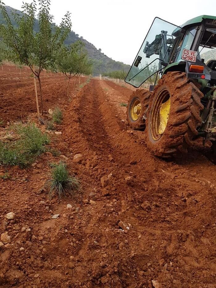 Images Tractores y Excavaciones Mores