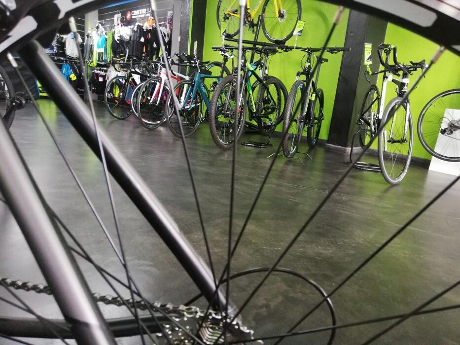 Images Gofi´s Bici