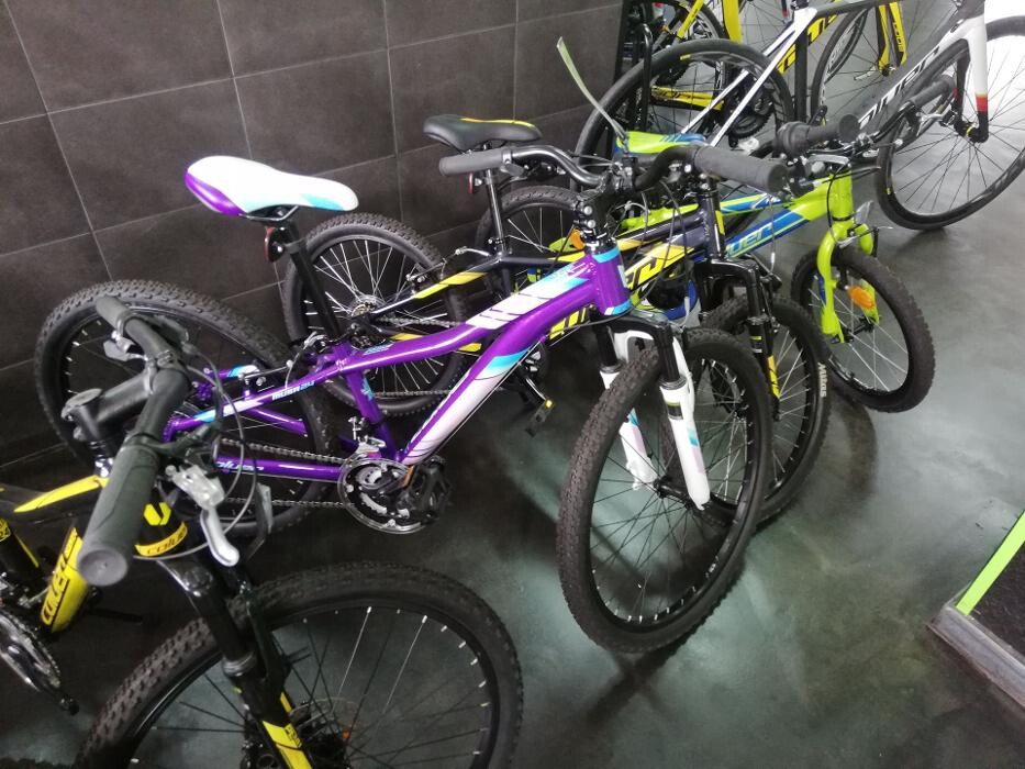 Images Gofi´s Bici