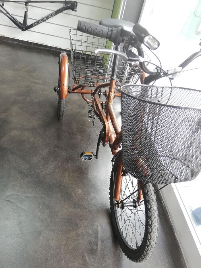 Images Gofi´s Bici