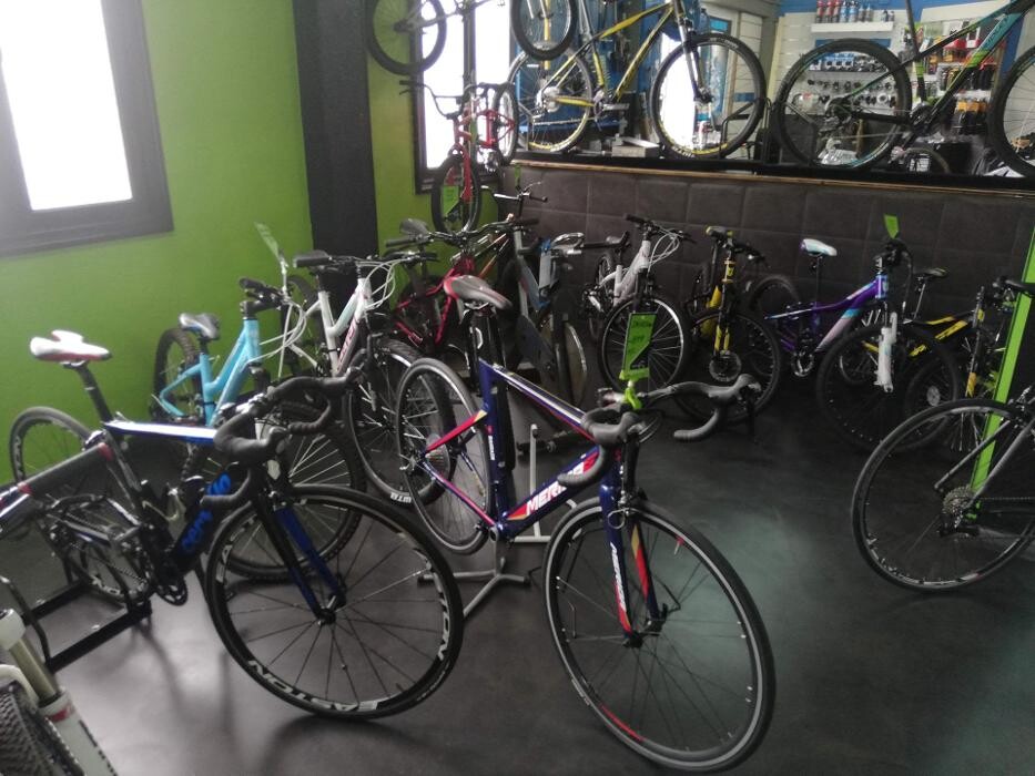 Images Gofi´s Bici