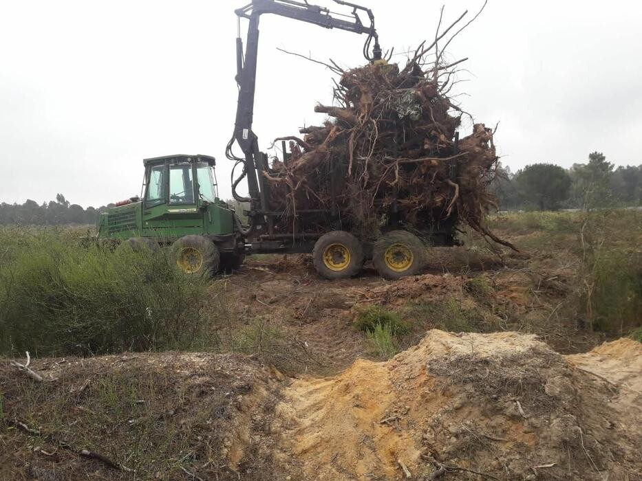 Images Explotaciones Forestales Lagarcia