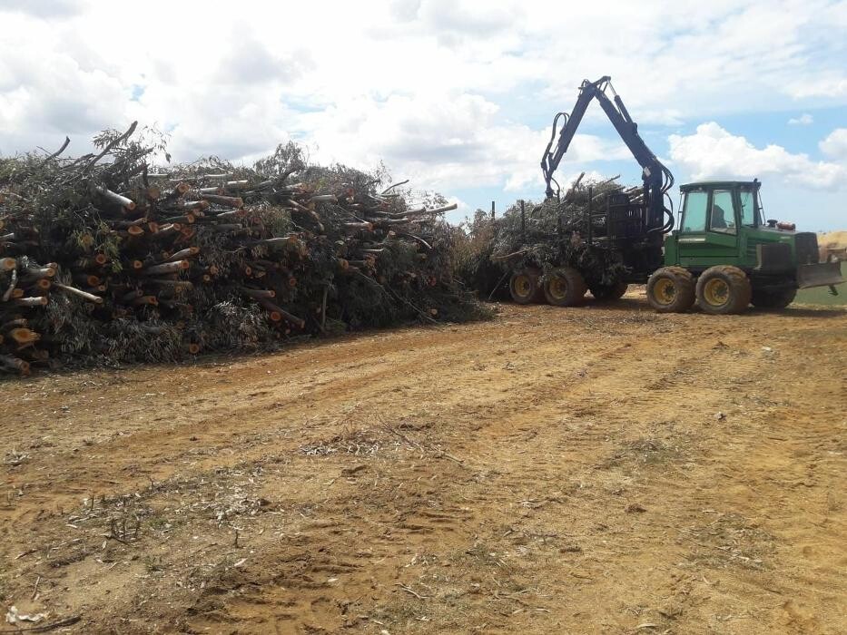 Images Explotaciones Forestales Lagarcia
