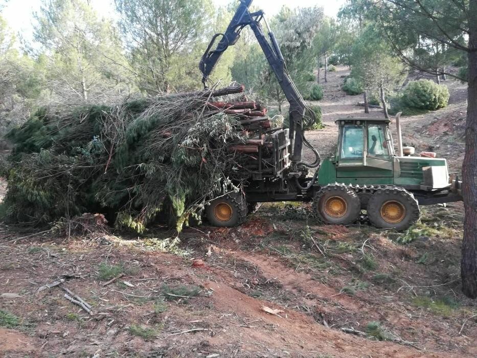 Images Explotaciones Forestales Lagarcia