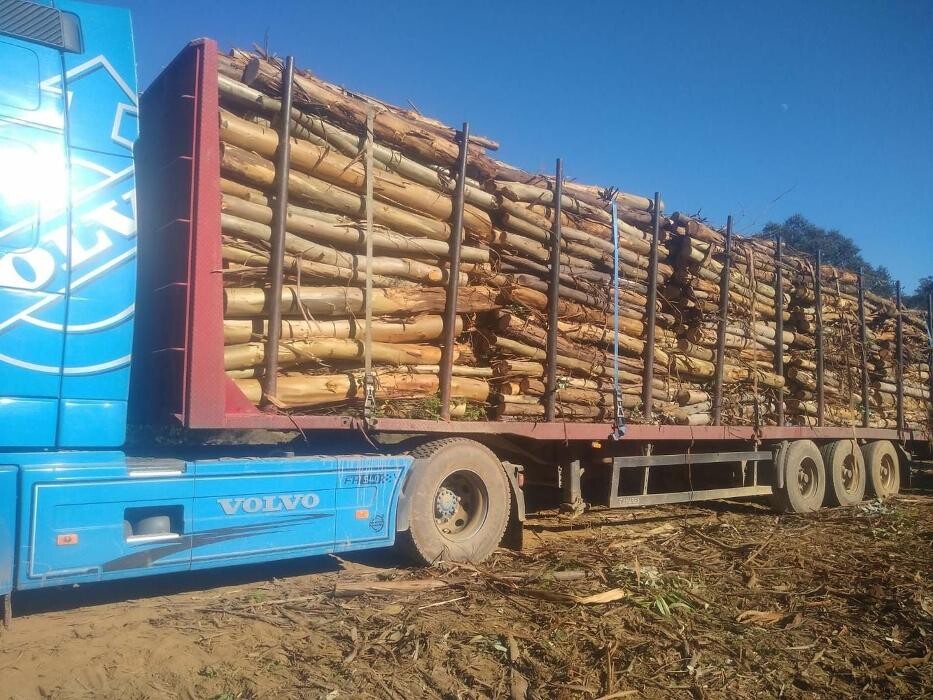 Images Explotaciones Forestales Lagarcia