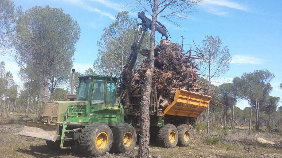 Images Explotaciones Forestales Lagarcia