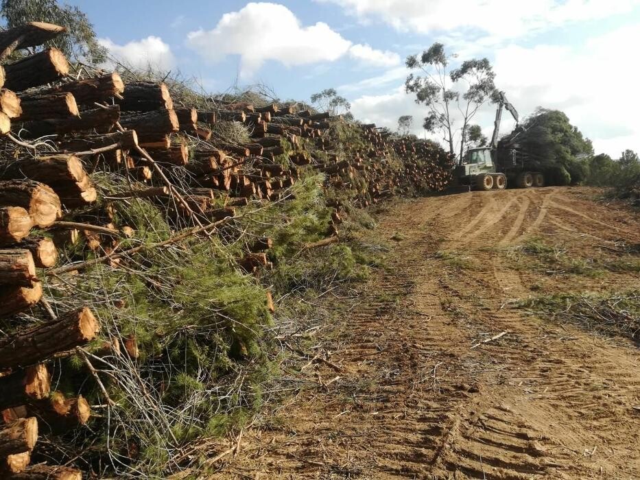 Images Explotaciones Forestales Lagarcia