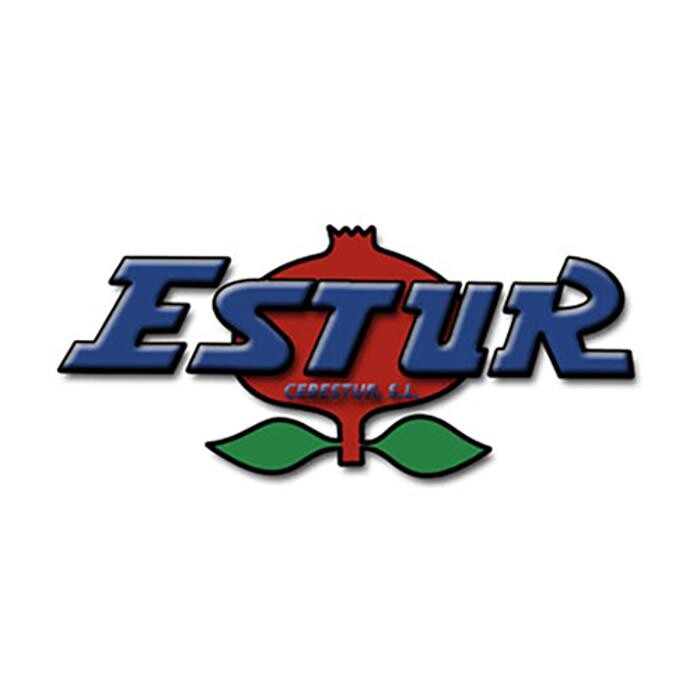 CEBESTUR,S.L. Logo