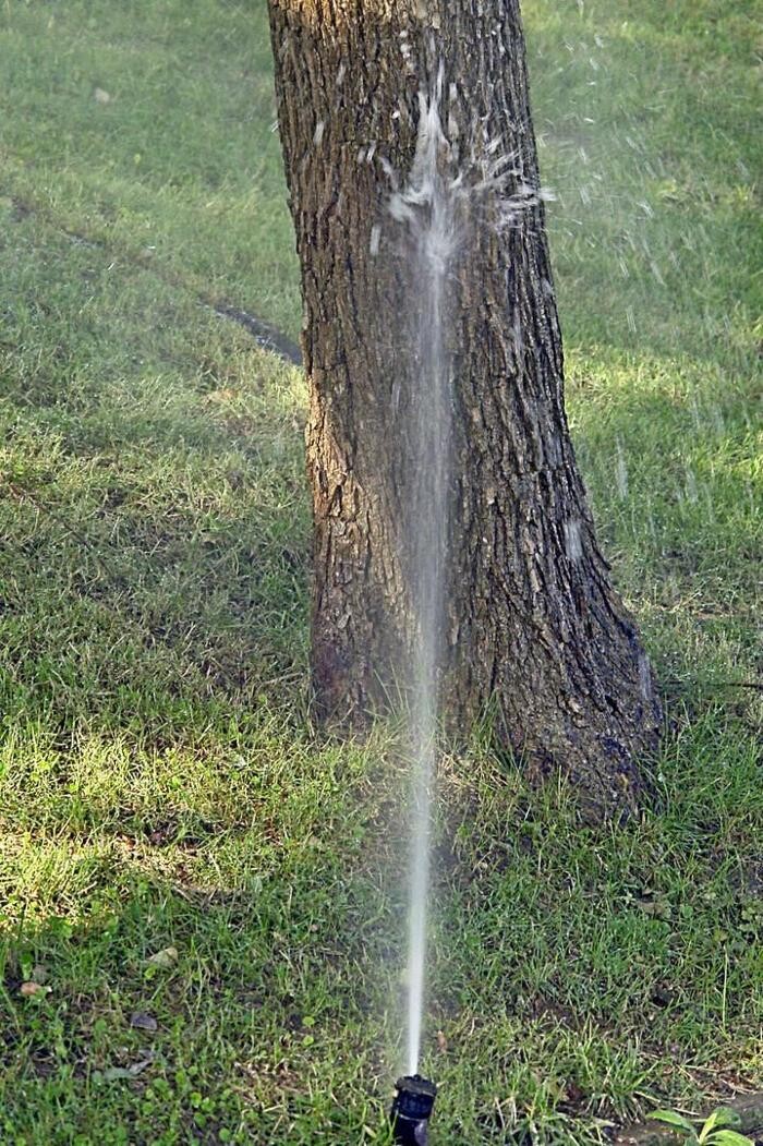 Images Fontanero Raúl López García