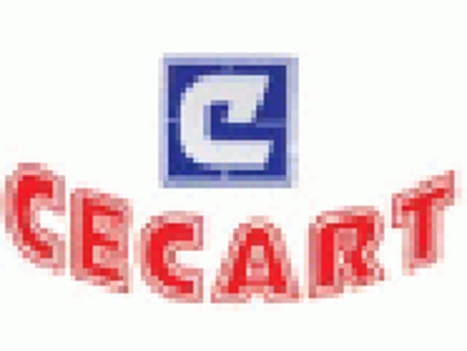Cerramientos Cartago Cecart Sl Logo