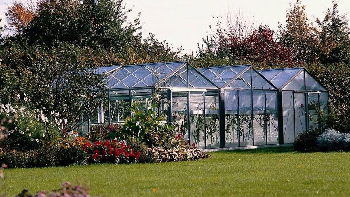 Images Viveiros Adoa, S.L. (Tameiga)