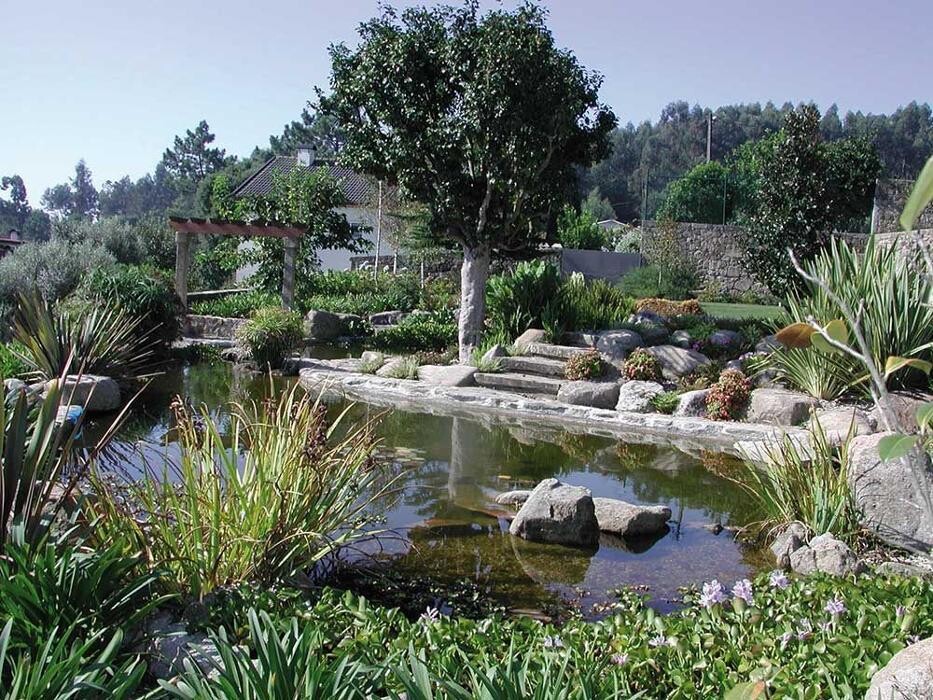 Images Viveiros Adoa, S.L. (Tameiga)