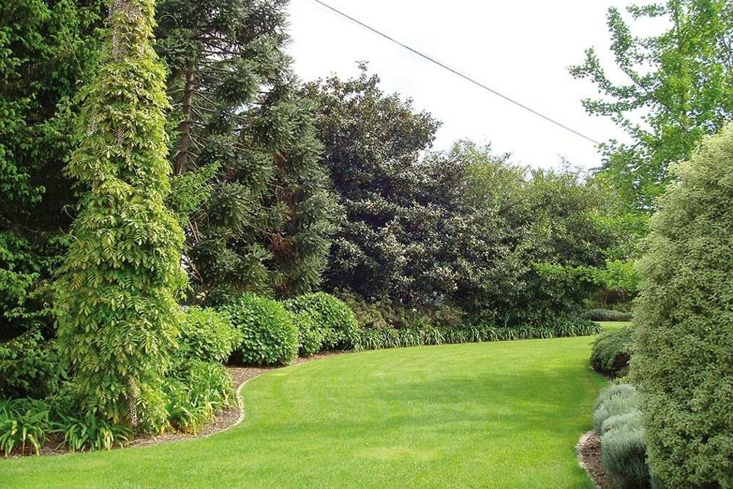 Images Viveiros Adoa, S.L. (Tameiga)