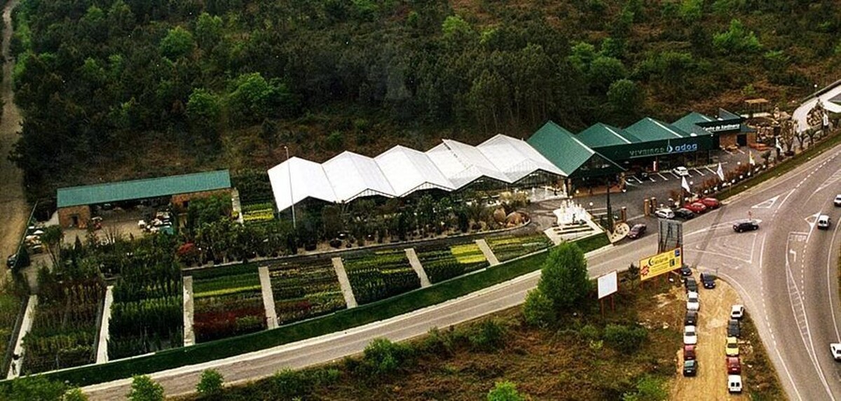 Images Viveiros Adoa, S.L. (Tameiga)