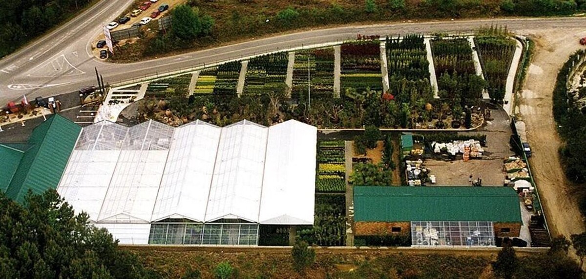 Images Viveiros Adoa, S.L. (Tameiga)