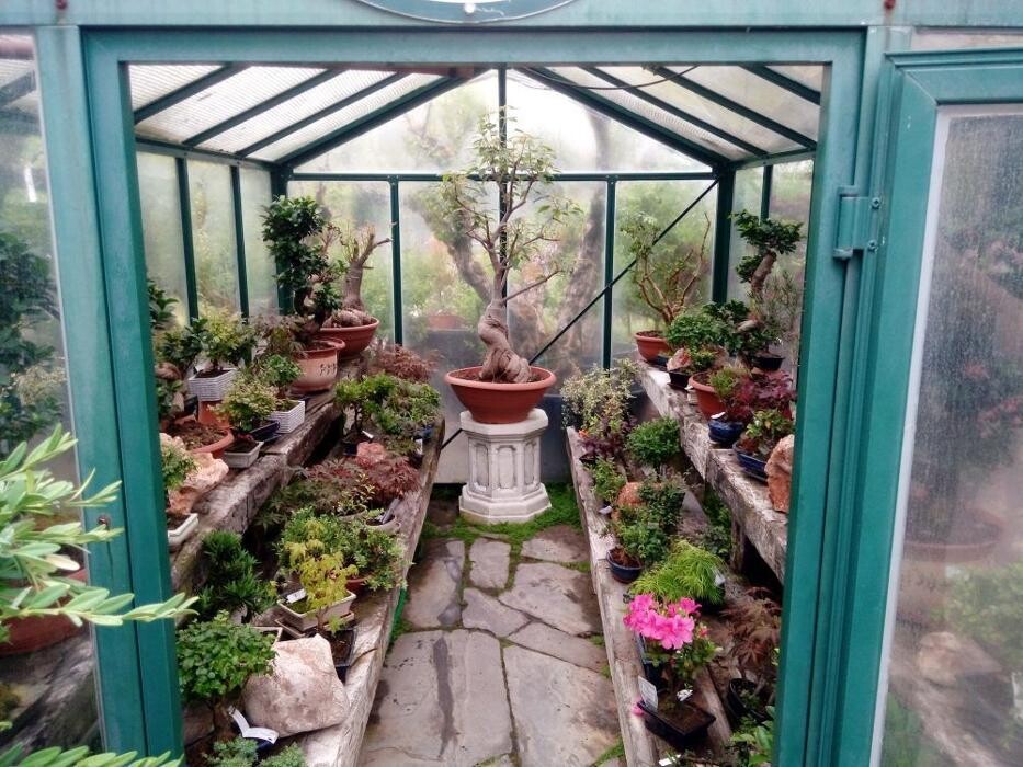 Images Viveiros Adoa, S.L. (Tameiga)