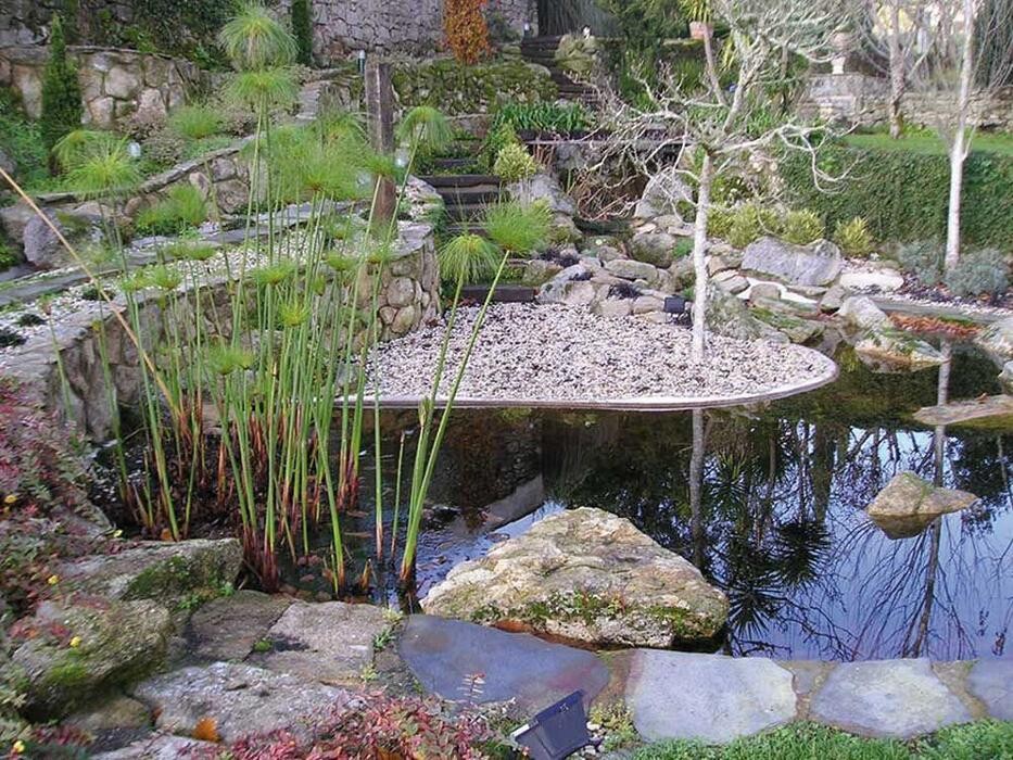 Images Viveiros Adoa, S.L. (Tameiga)