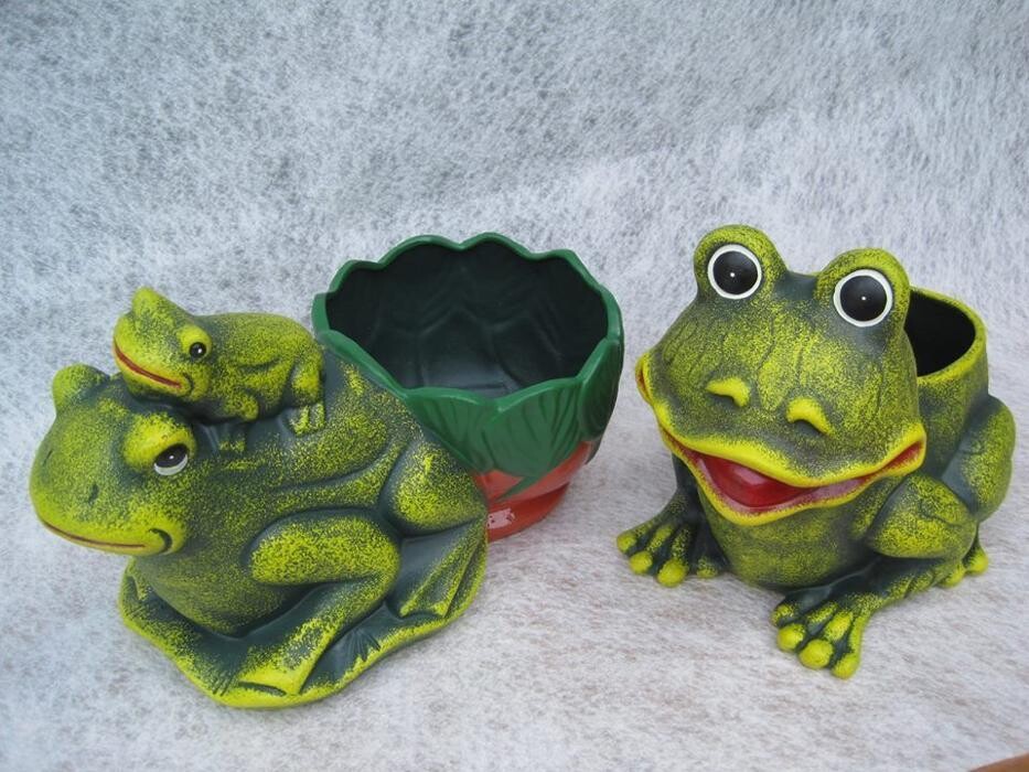 Images Viveiros Adoa, S.L. (Tameiga)