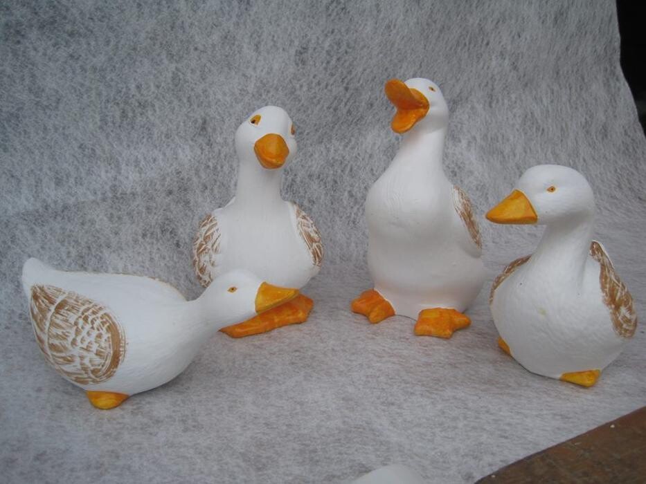 Images Viveiros Adoa, S.L. (Tameiga)