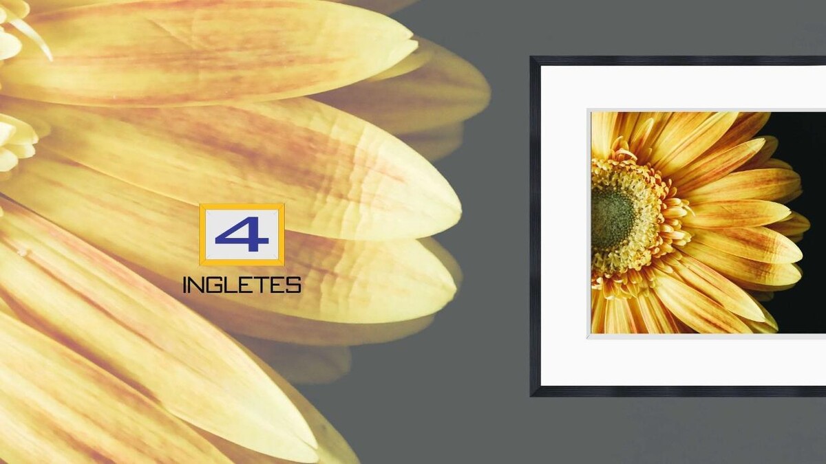 Images 4 INGLETES