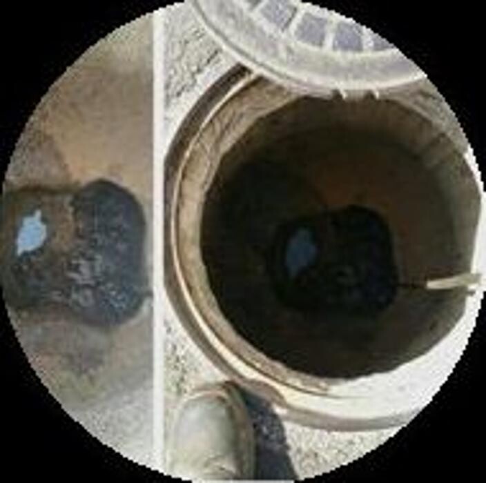 Images Ecología Canaria Santa Lucía SL