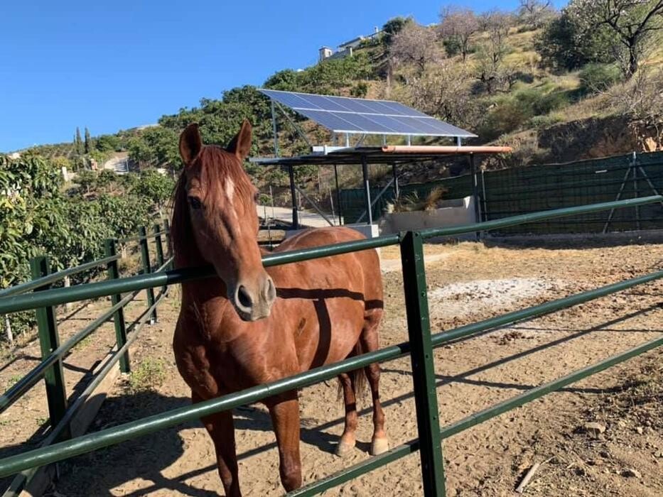 Images Fimara Solar - Instalación de energías renovables en Málaga