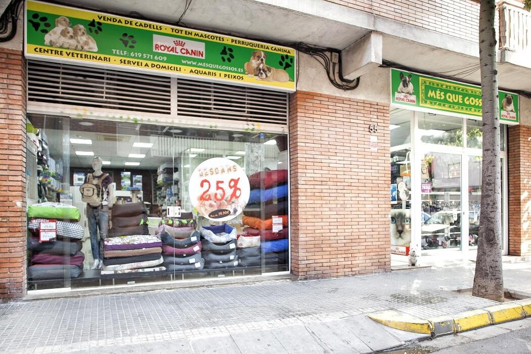 Images Més Que Gossos