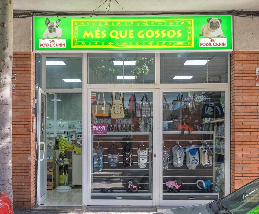 Images Més Que Gossos