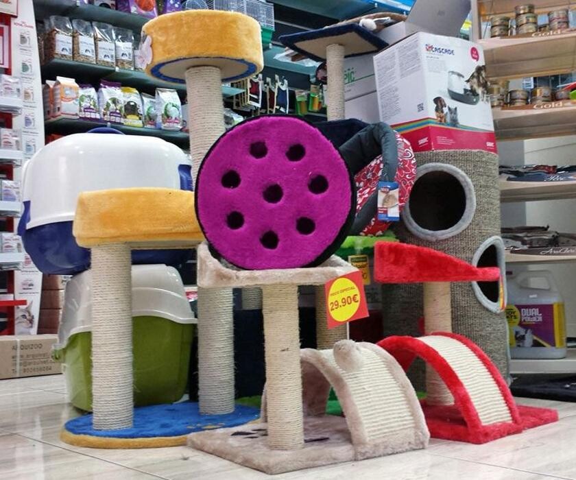 Images Més Que Gossos