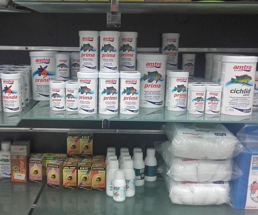 Images Més Que Gossos