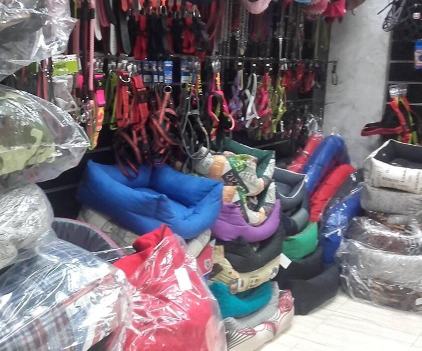 Images Més Que Gossos