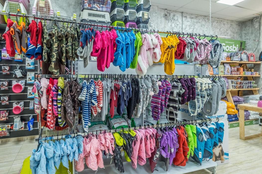 Images Més Que Gossos