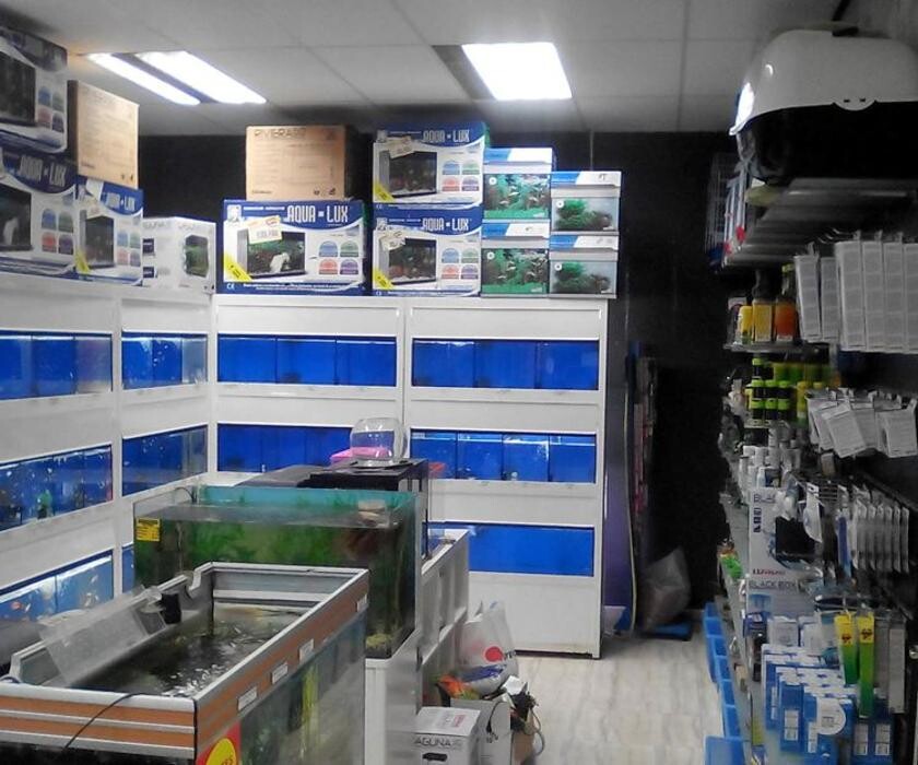 Images Més Que Gossos