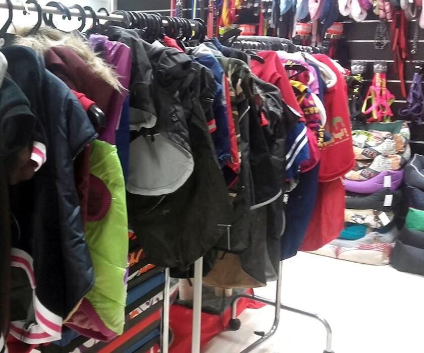 Images Més Que Gossos