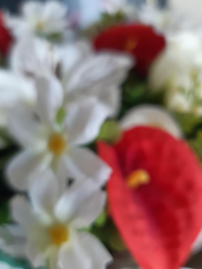 Images Floristería Rosas Rojas