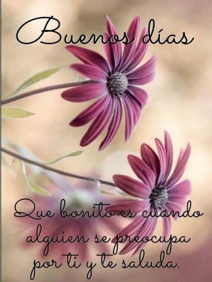 Floristería Rosas Rojas Logo