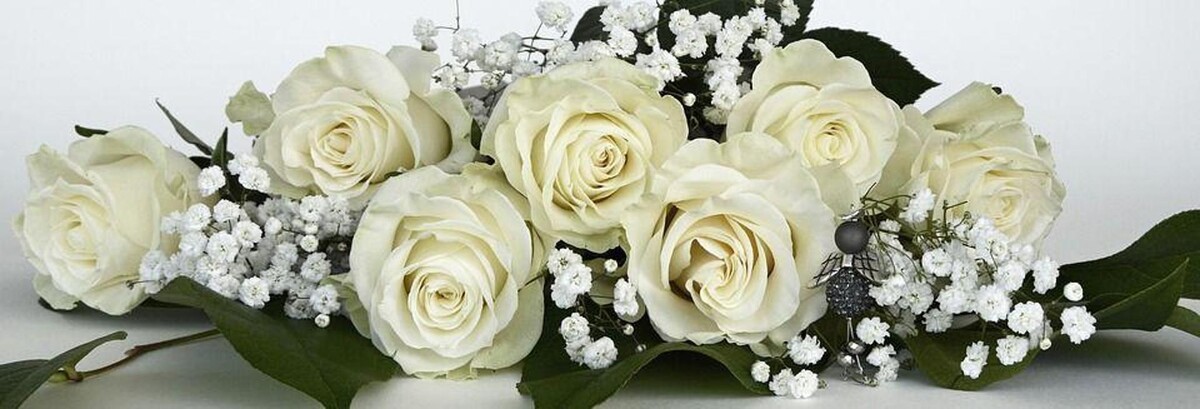 Images Floristería Rosas Rojas