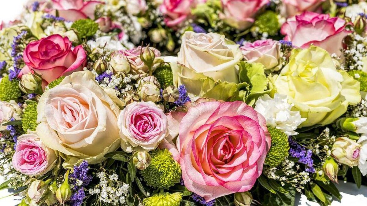 Images Floristería Rosas Rojas