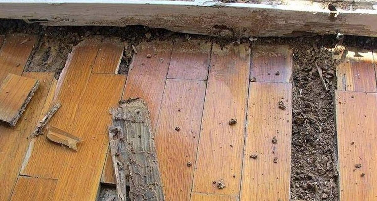 Images Garbi Aragón