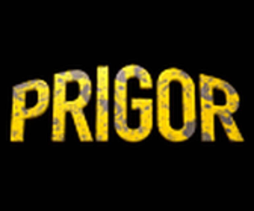 Montajes Prigor Logo