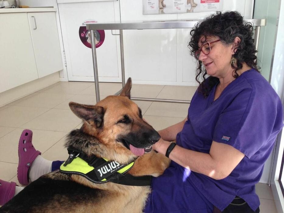 Images Clínica Veterinaria Rosvet