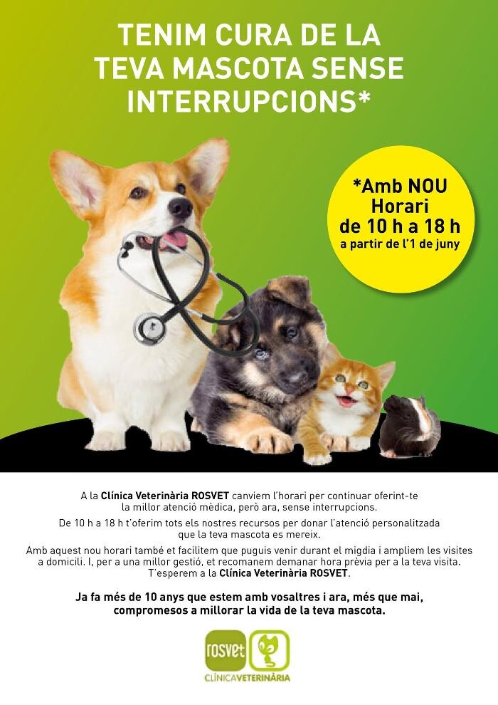Images Clínica Veterinaria Rosvet