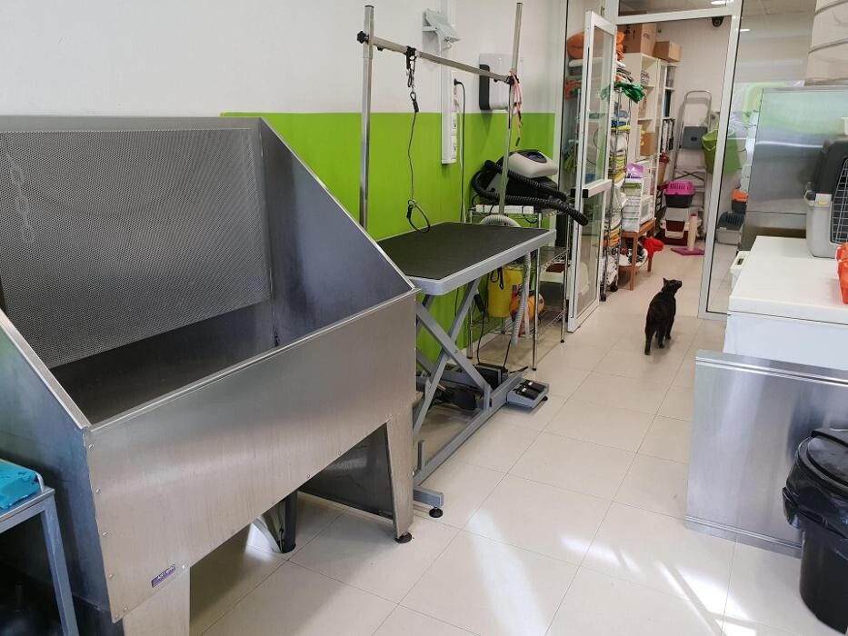 Images Clínica Veterinaria Rosvet