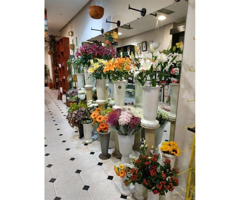 Images Floristas San Isidro José