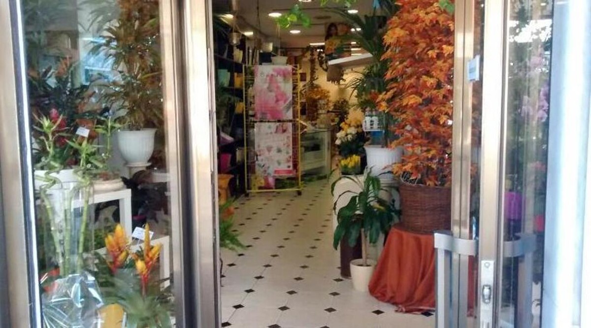 Images Floristas San Isidro José