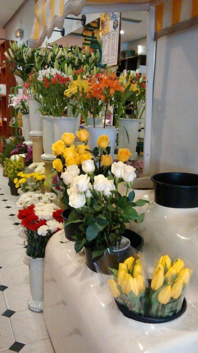 Images Floristas San Isidro José