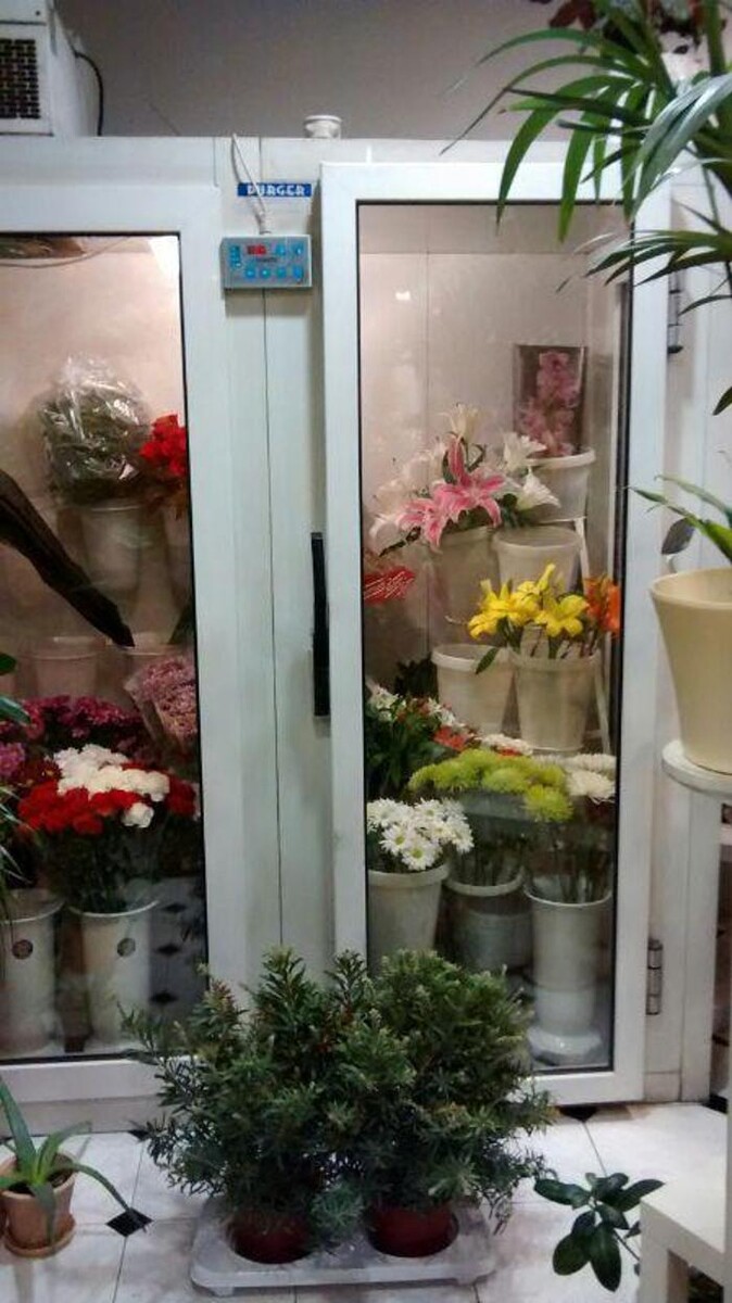 Images Floristas San Isidro José