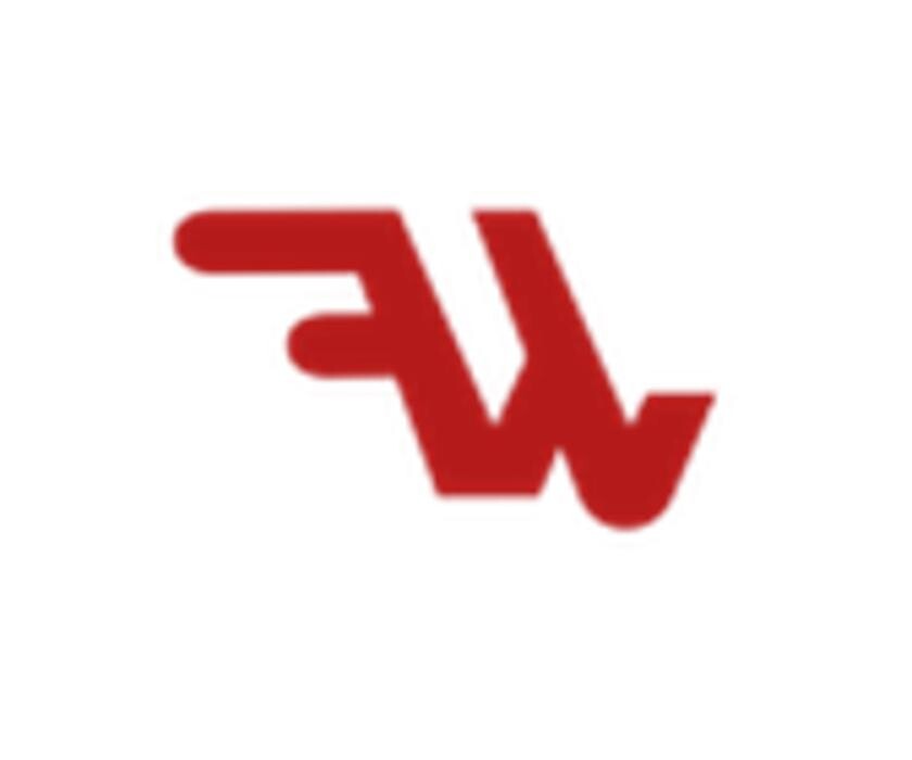 Welifevan Logo